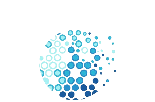 Hasse Cyber Security Logo